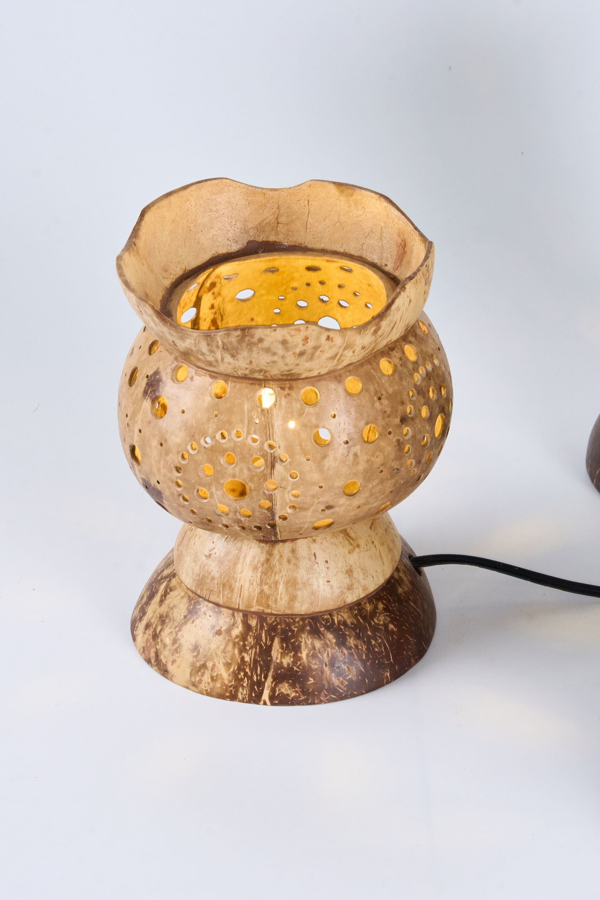 Coconut Shell Lamps